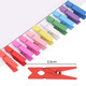 Mini Wooden Pegs - Coloured (Pack of 100)